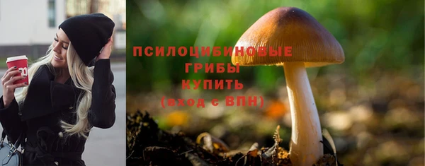 метамфетамин Елизово