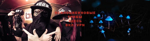 стафф Заволжск