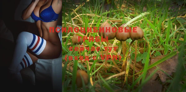 MESCALINE Заволжье