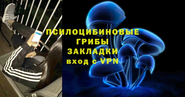 стафф Заволжск