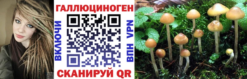 Псилоцибиновые грибы мицелий Купить Нариманов