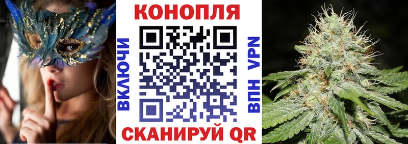 Купить где  Нариманов  Шишки марихуана Amnesia 